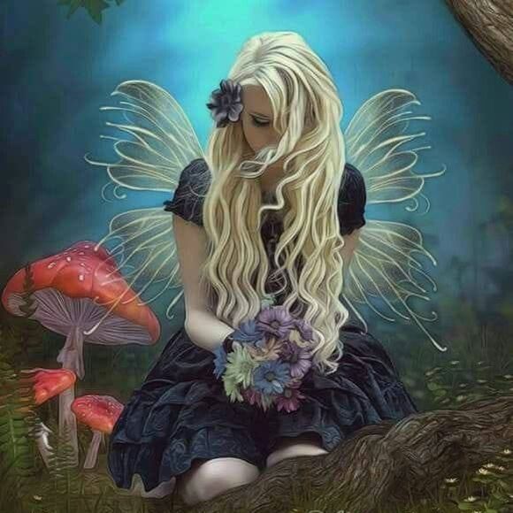 Meet the Posher Other - Meet your Posher, Lauren